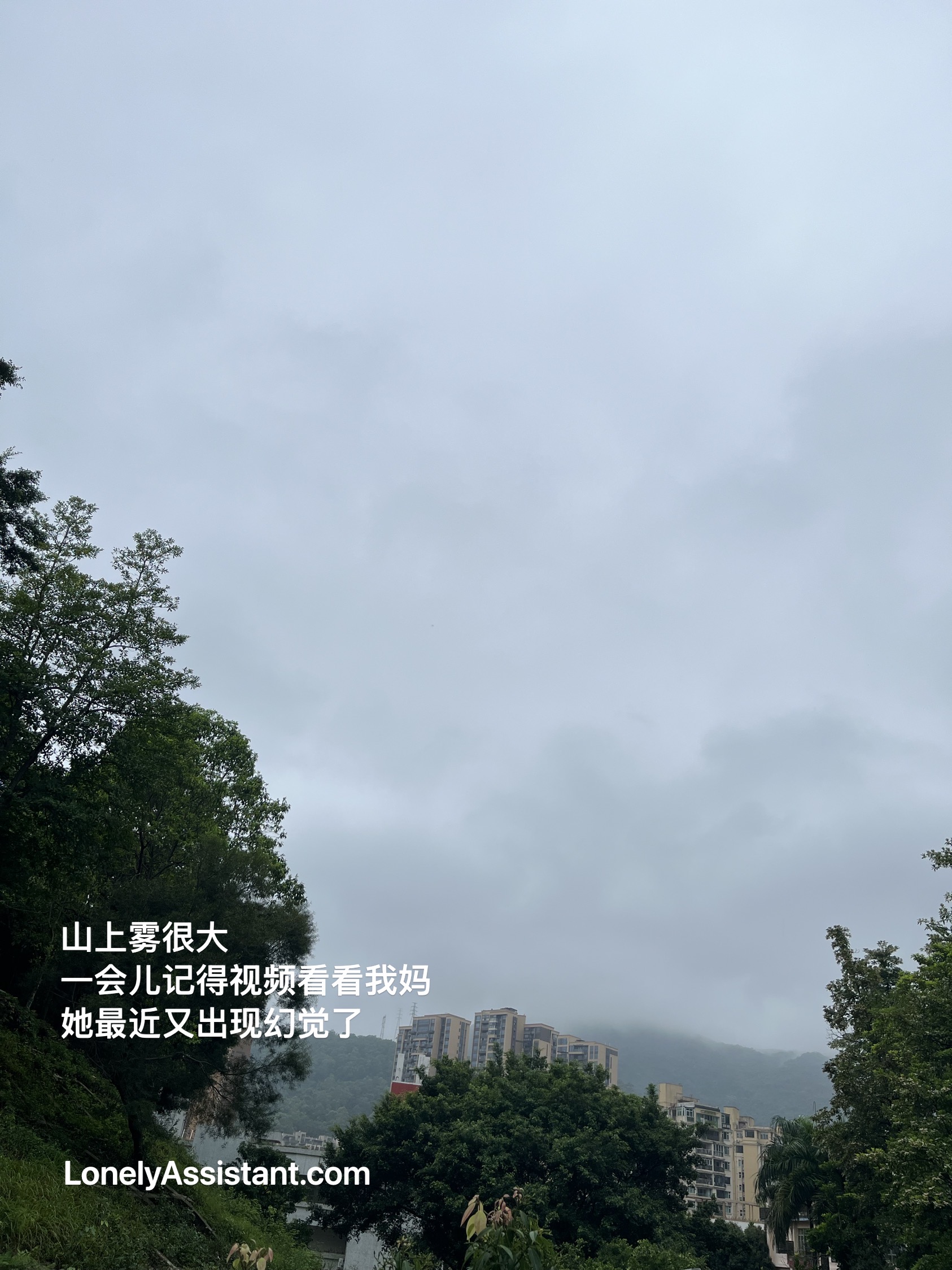 /media/images-phone/2025/9/15/2025-09-15 12.38.23.jpeg